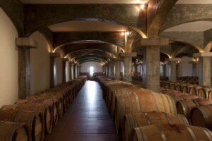 Quinta de Lemos-12 (1)